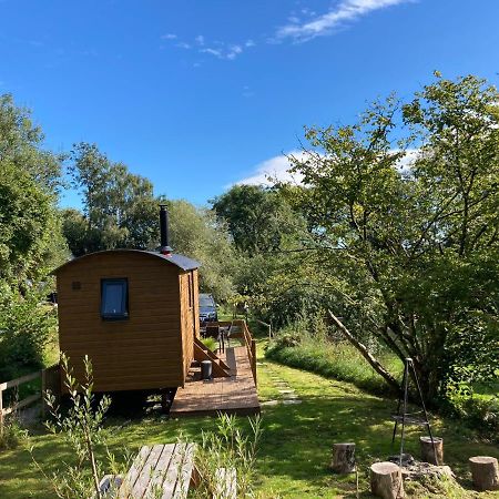 Herdwick Shepherd Hut Exeter Extérieur photo