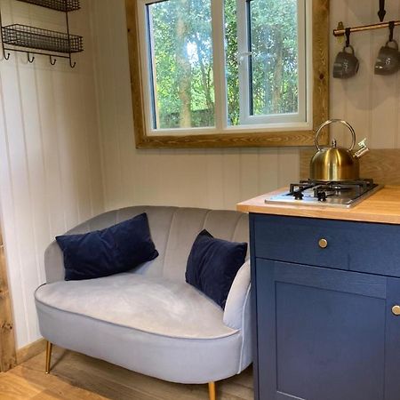 Herdwick Shepherd Hut Exeter Extérieur photo