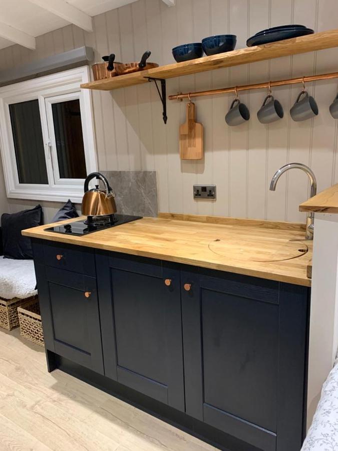 Herdwick Shepherd Hut Exeter Extérieur photo