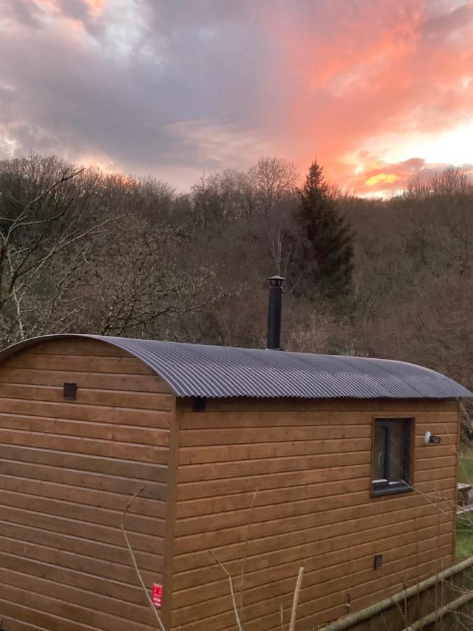 Herdwick Shepherd Hut Exeter Extérieur photo
